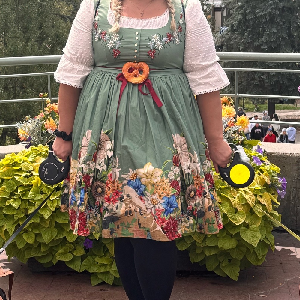 Disney Parks Dress Shop Matterhorn Bobsled Swing Dress